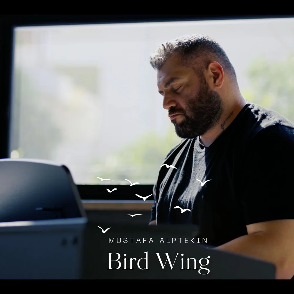Bird Wing orijinal kapak görseli
